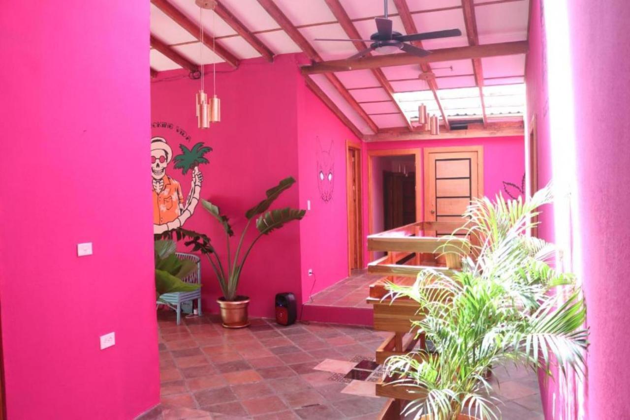 Planet B Hostel - Adults Only Manuel Antonio Luaran gambar